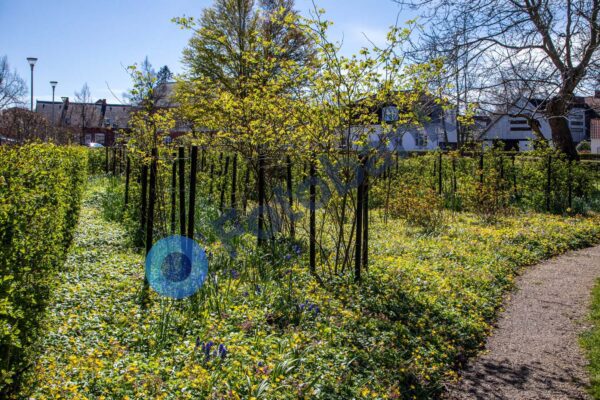 Bies Have – Hobro #5