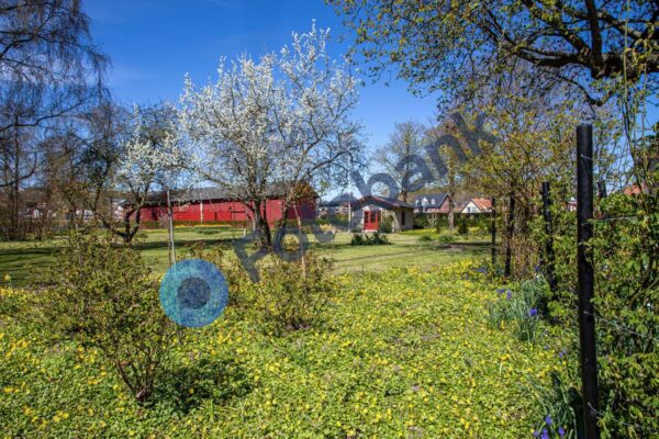 Bies Have – Hobro #7