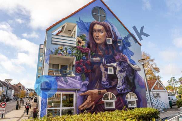Aars Bymiljø #6