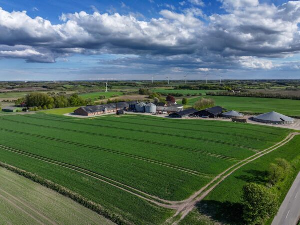Landskab over Rørbæk #1