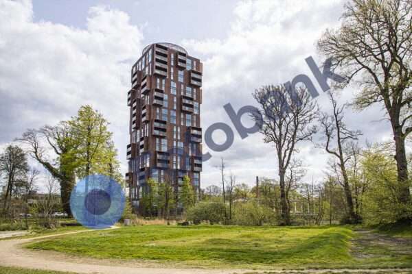 Silkeborg Bymiljø #8