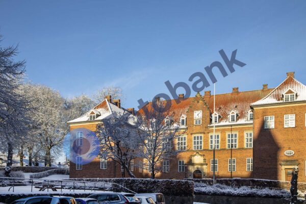 Viborg Vinter Foto #10