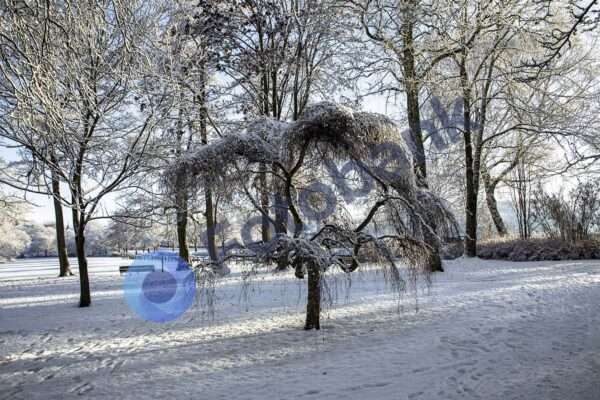 Viborg Vinter Foto #11