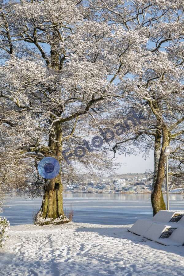 Viborg Vinter Foto #12