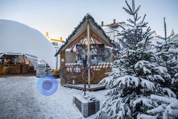 Viborg Vinter Foto #15