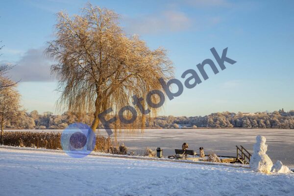 Viborg Vinter Foto #18