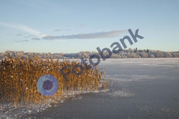 Viborg Vinter Foto #19