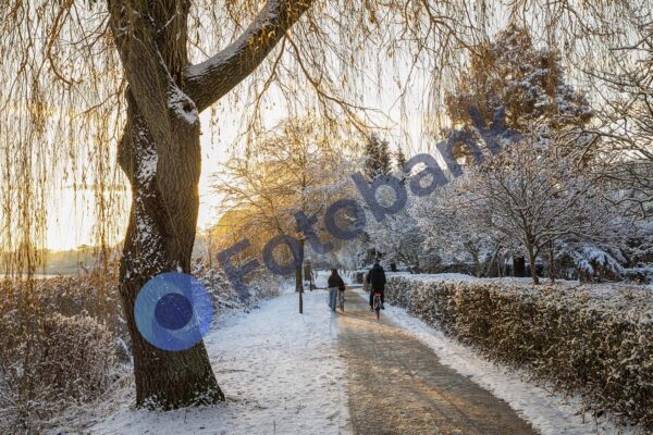 Viborg Vinter Foto #20