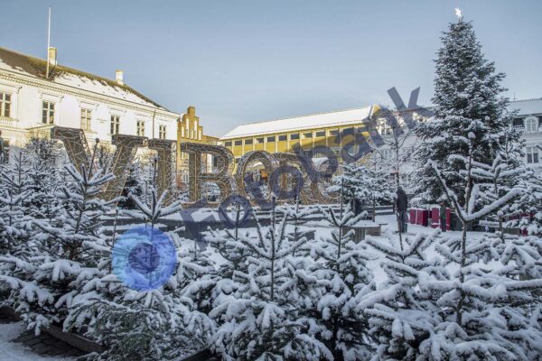 Viborg Vinter Foto #23