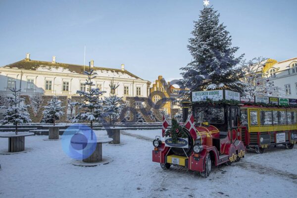 Viborg Vinter Foto #24
