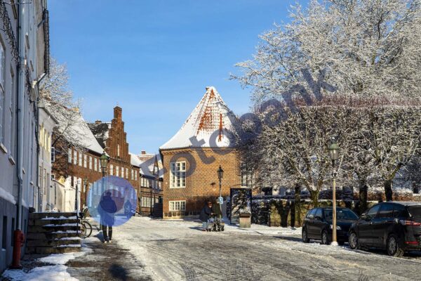 Viborg Vinter Foto #3