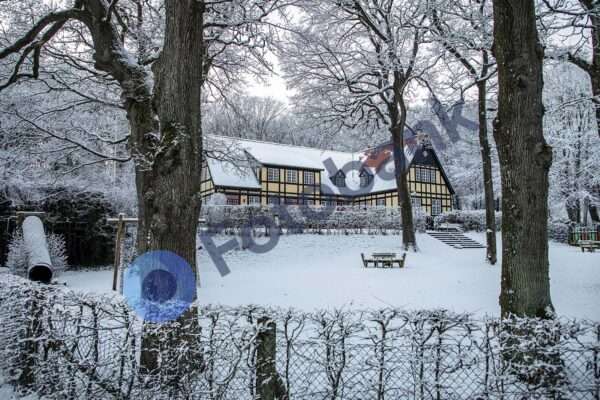 Viborg Vinter Foto #30