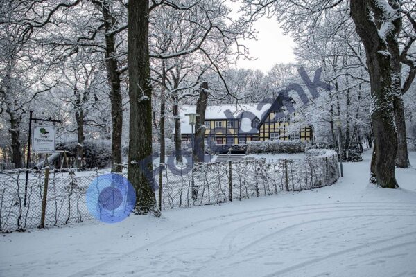 Viborg Vinter Foto #31