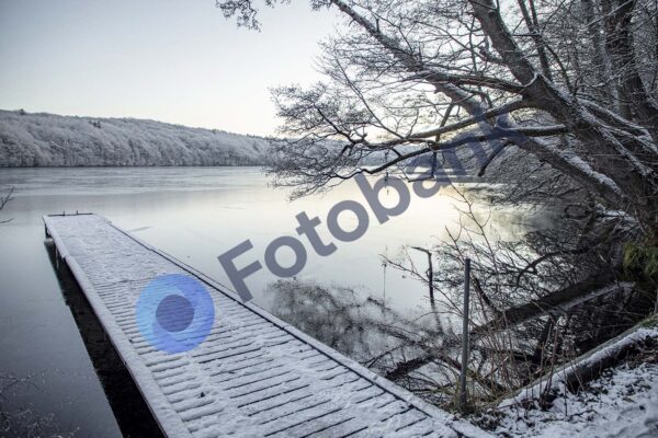 Viborg Vinter Foto #32