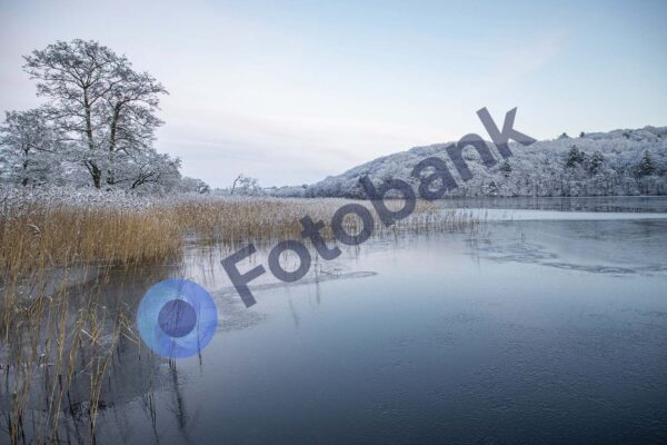 Viborg Vinter Foto #33