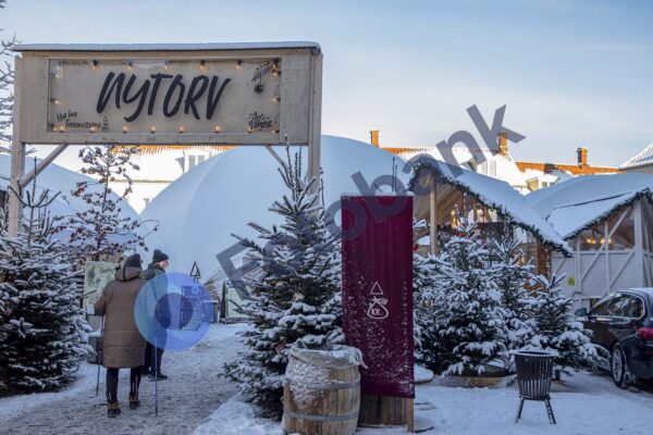 Viborg Vinter Foto #8