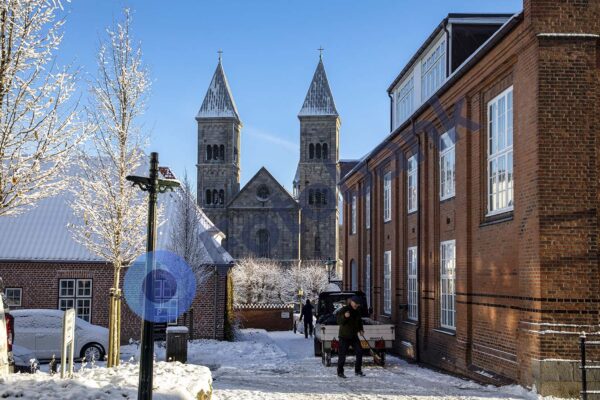 Viborg Vinter Foto #9